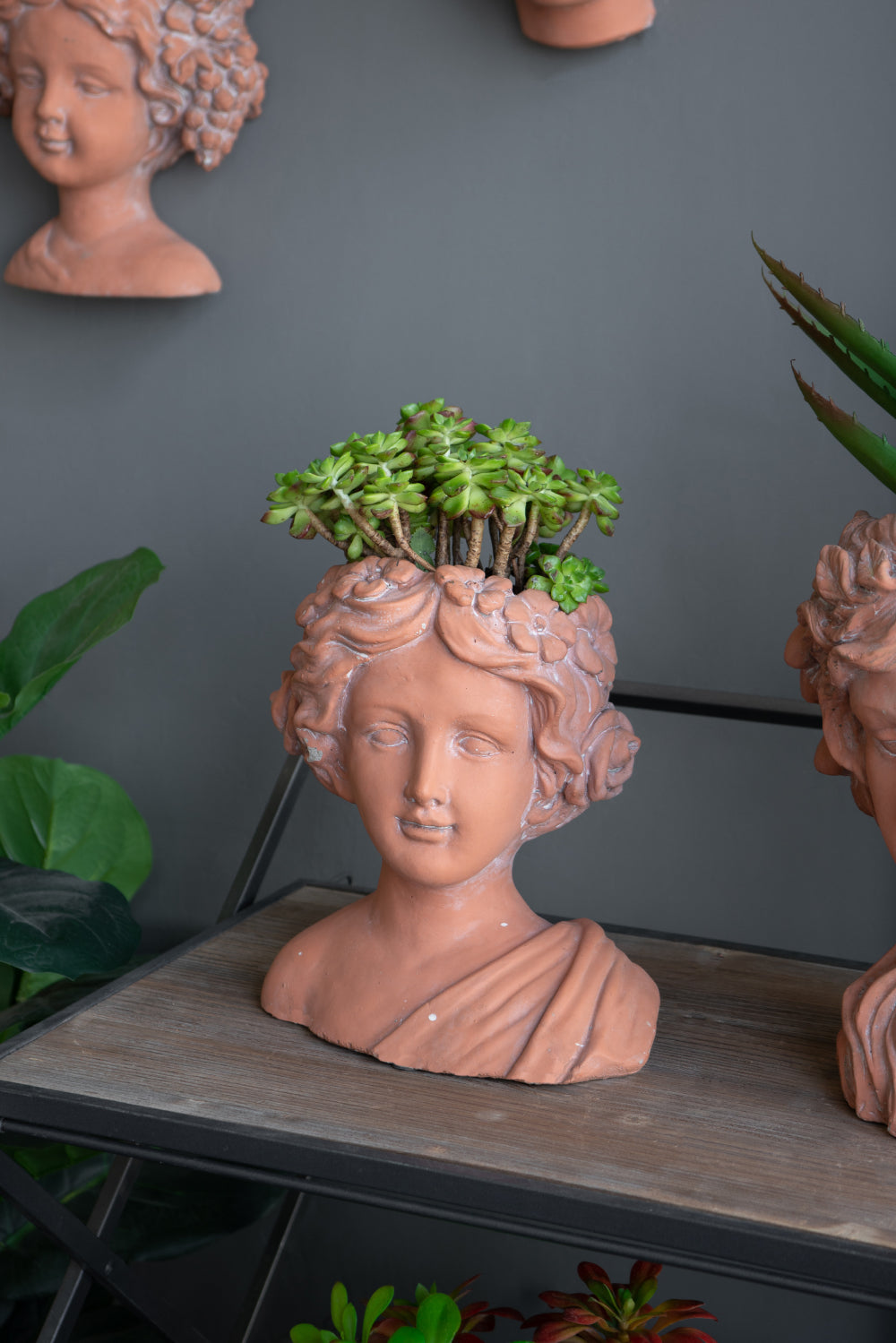 Terracotta bust planter with flowing hair holding lush green succulents