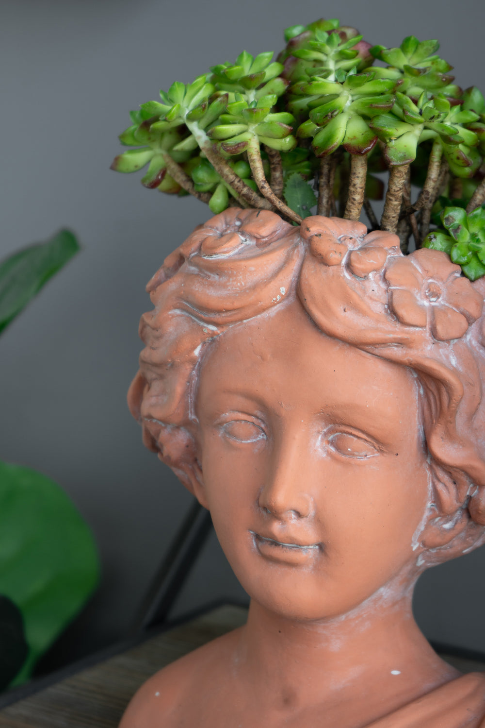 Enhance Your Garden with a Brown Head Bust Planter - Classic Design