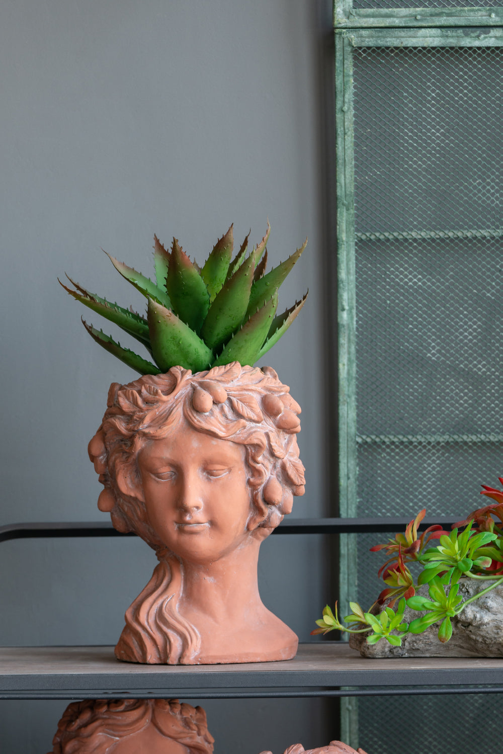 Terracotta Greek bust planter with succulent classical garden decor