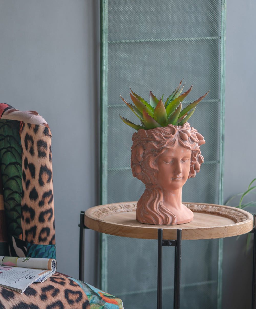 Terracotta bust planter with an aloe vera plant featuring classical Grecian design
