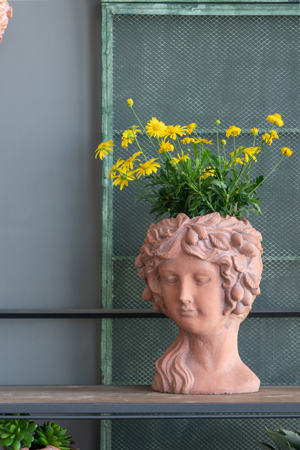 Terracotta classical head planter with yellow daisies elegant garden decor