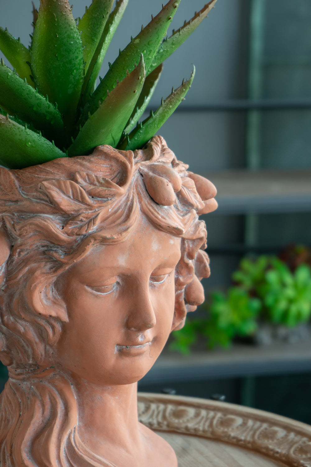 Terracotta woman planter with aloe vera succulent indoor plant