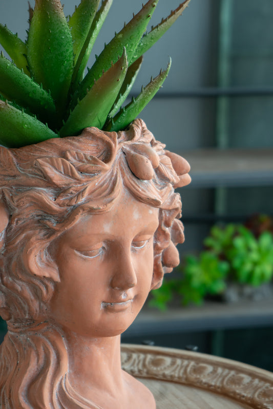 Terracotta woman planter with aloe vera succulent indoor plant