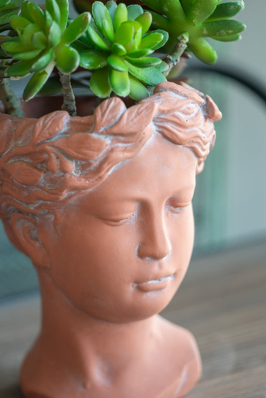 Terracotta bust planter with delicate leaf detail holding vibrant green succulents