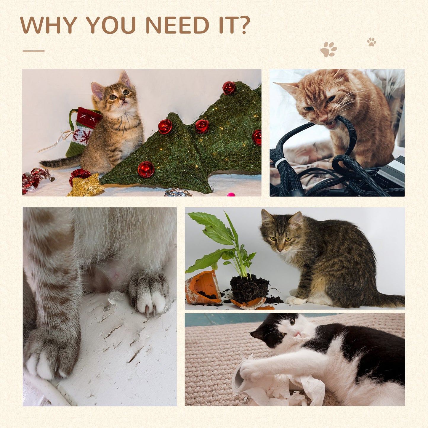 Kitten sitting by a Christmas tree and stocking a festive scene for pet owners