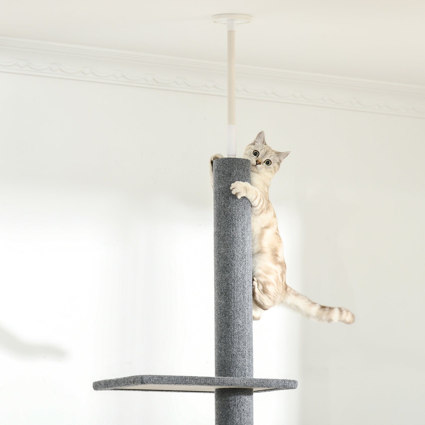 Cat climbing a grey sisal scratching post with platform