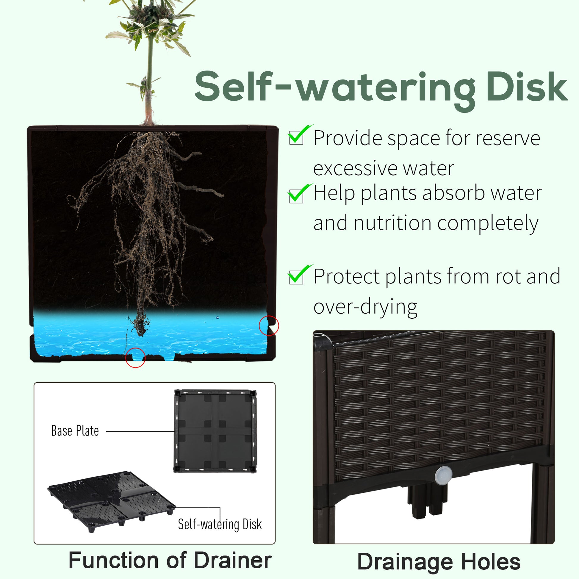 Diagram showing plant roots absorbing water from a selfwatering disk