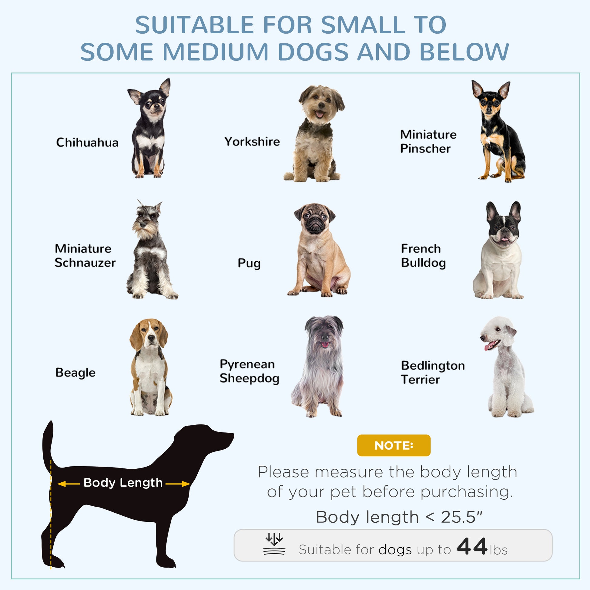 Chihuahua dog illustration with black and tan markings sitting