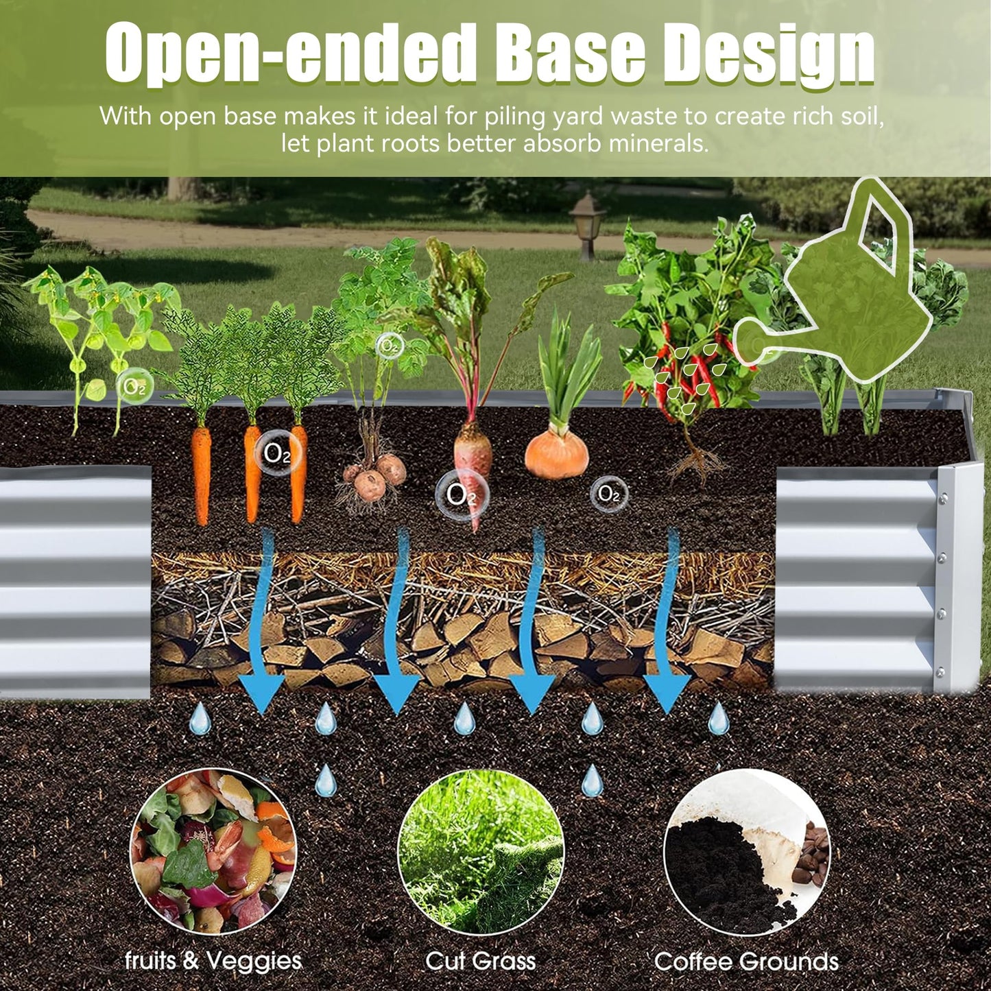 Raised garden bed with carrots beets and onions showing soil layers for healthy growth