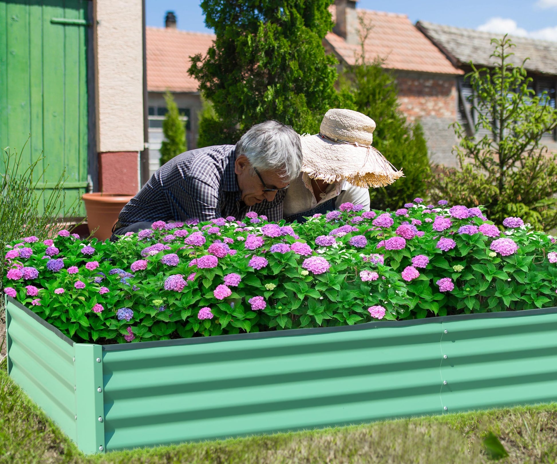 Green corrugated metal raised garden bed filled with pink and purple hydrangeas