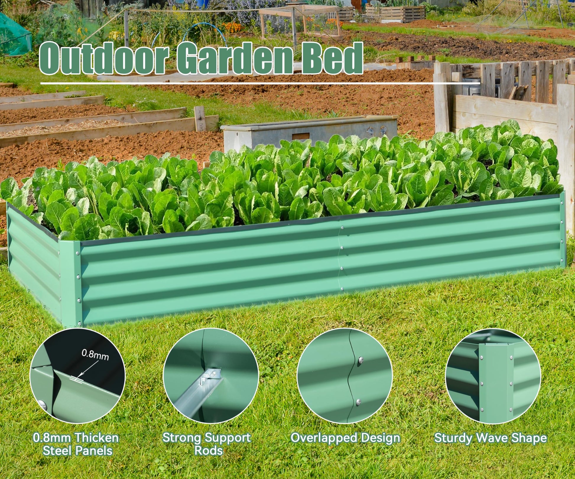 Sage green corrugated metal outdoor garden bed with rich soil and lush green lettuce plants