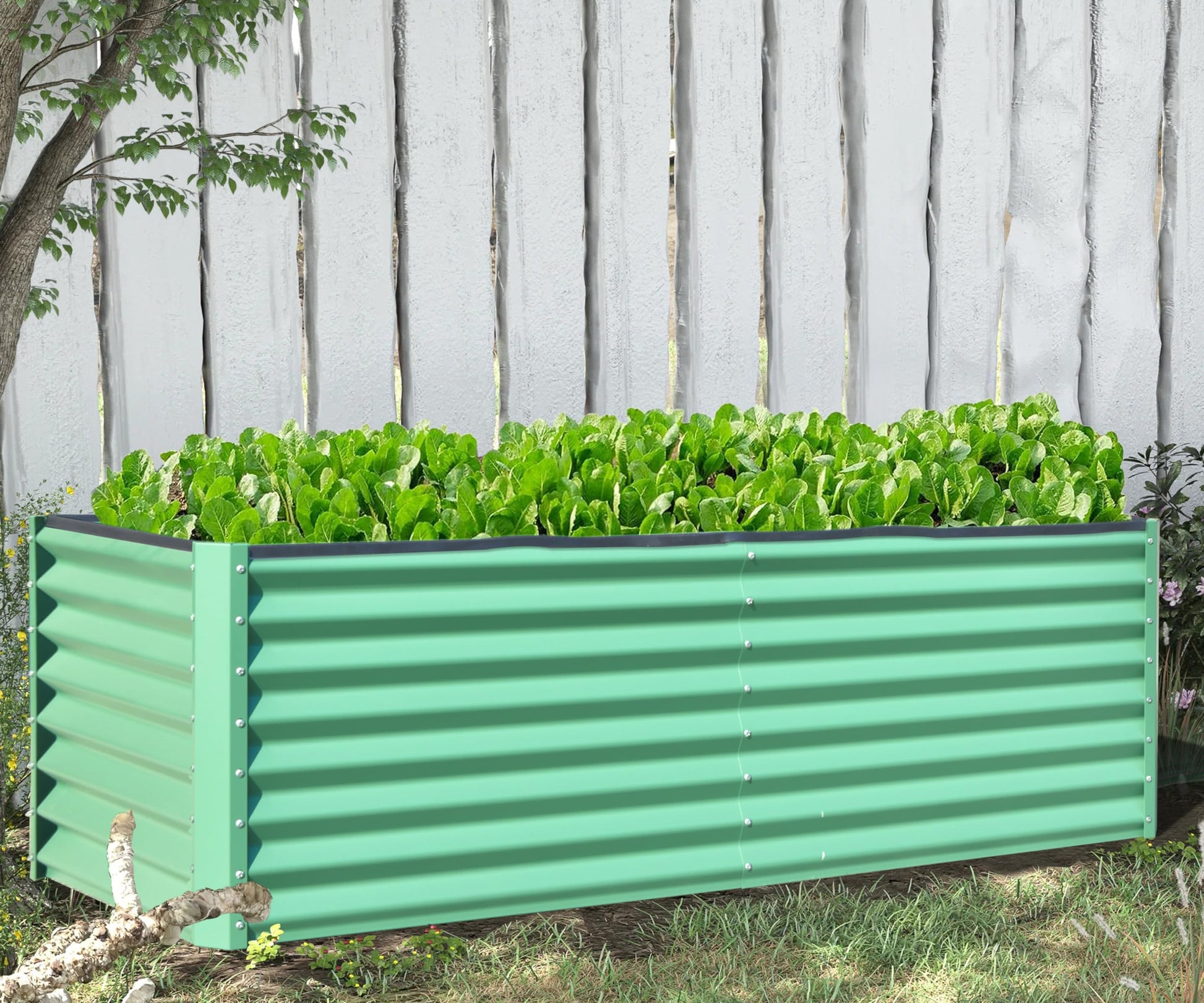 Green corrugated metal raised garden bed filled with lush lettuce plants