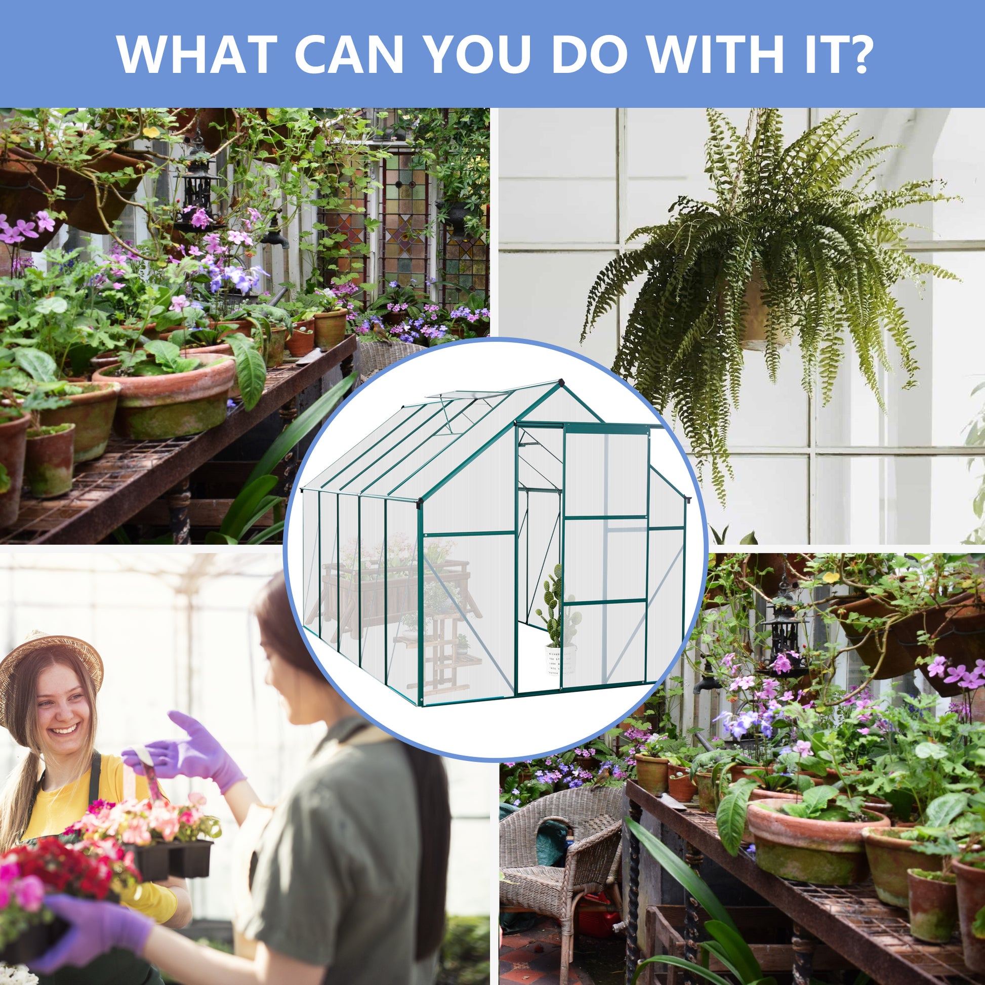 Green frame polycarbonate greenhouse with vented roof ideal for gardening