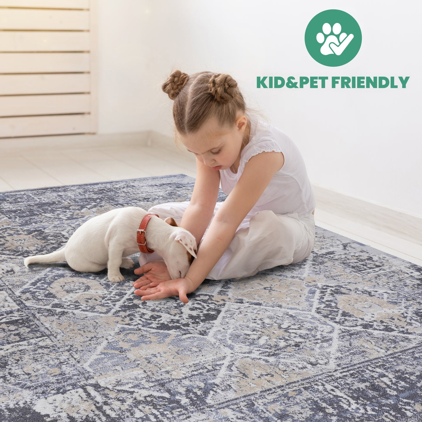 Distressed grey and beige oriental rug with detailed pattern kid and pet friendly