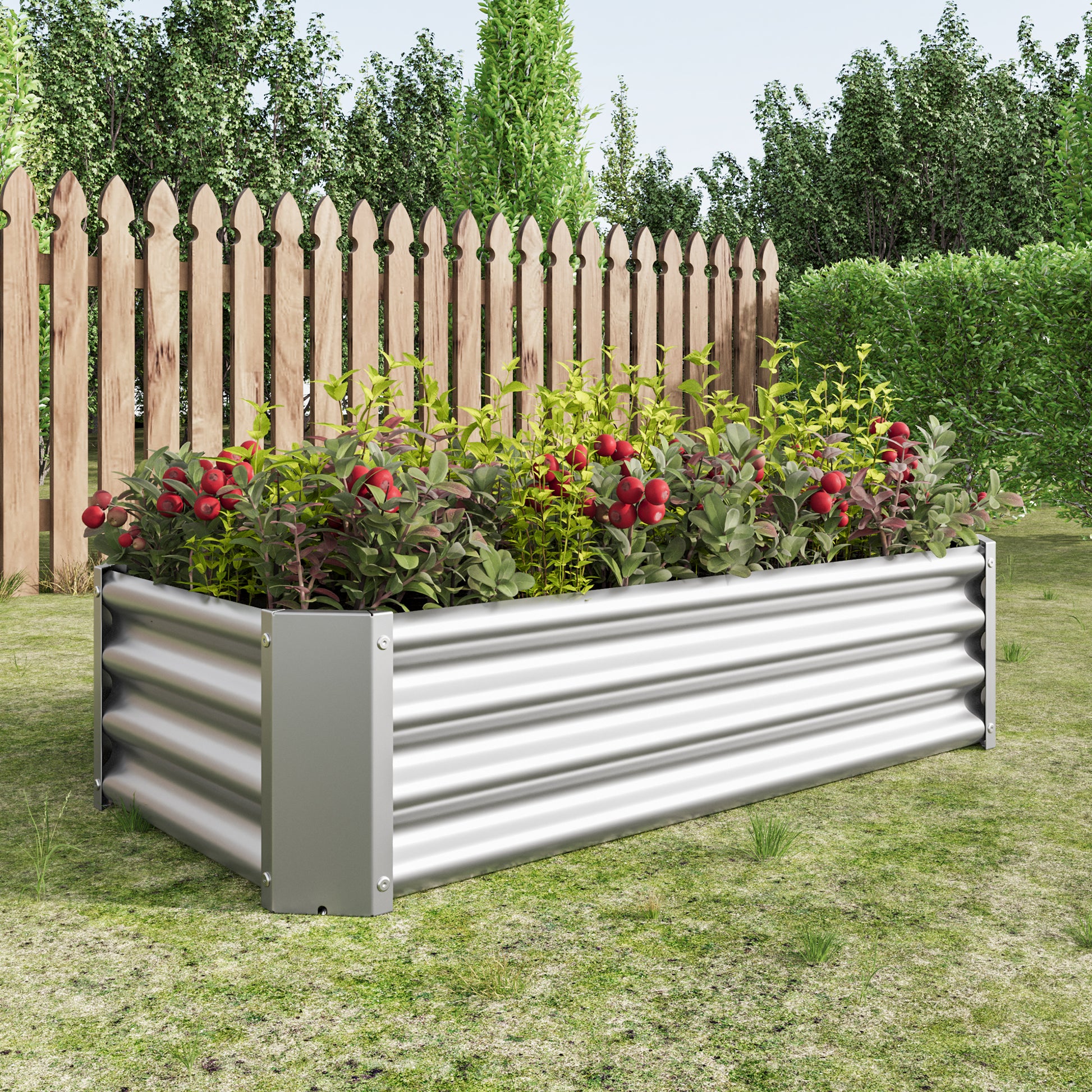 Corrugated metal raised garden bed with vibrant red berries and green foliage