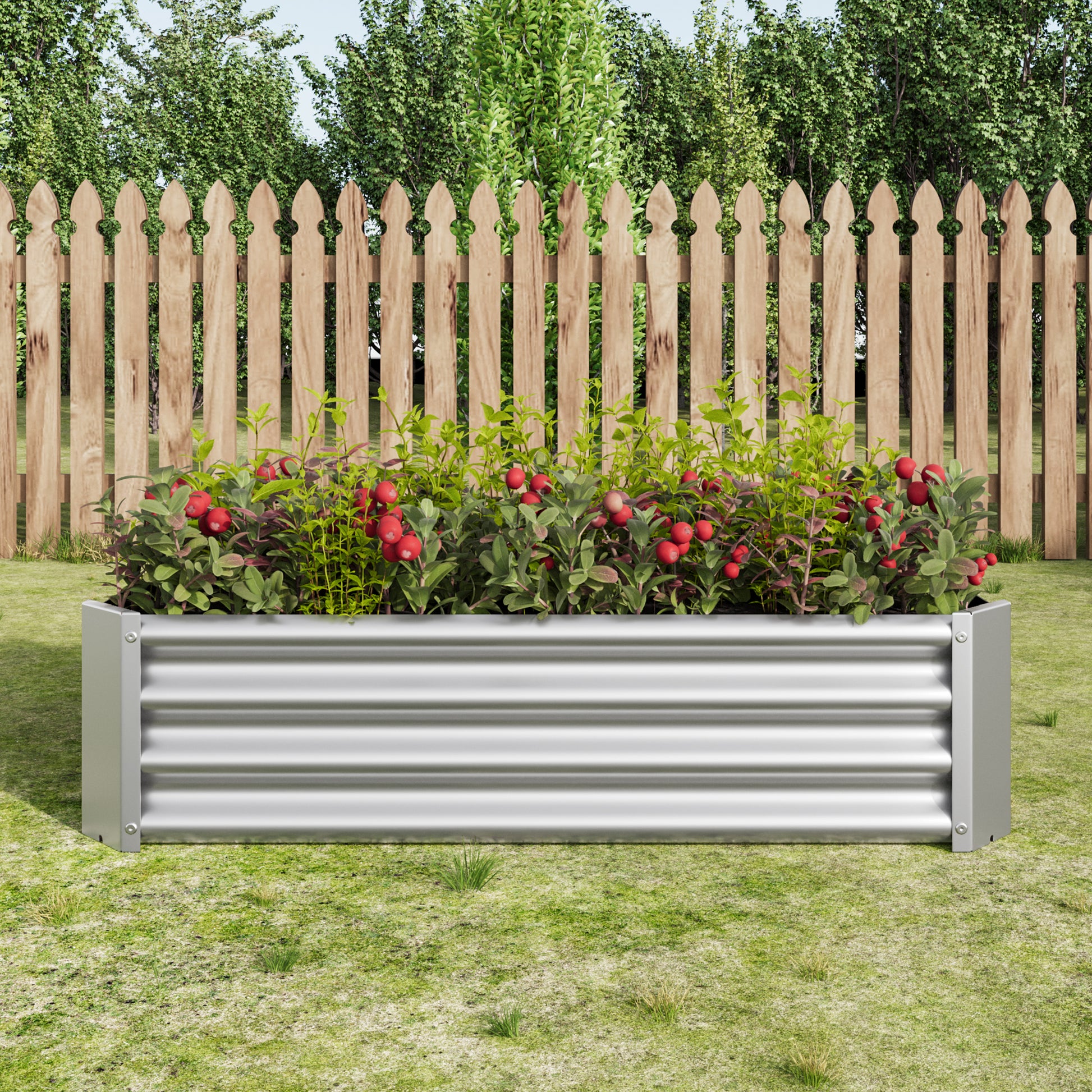 Corrugated raised garden bed filled with lush green plants and red berries