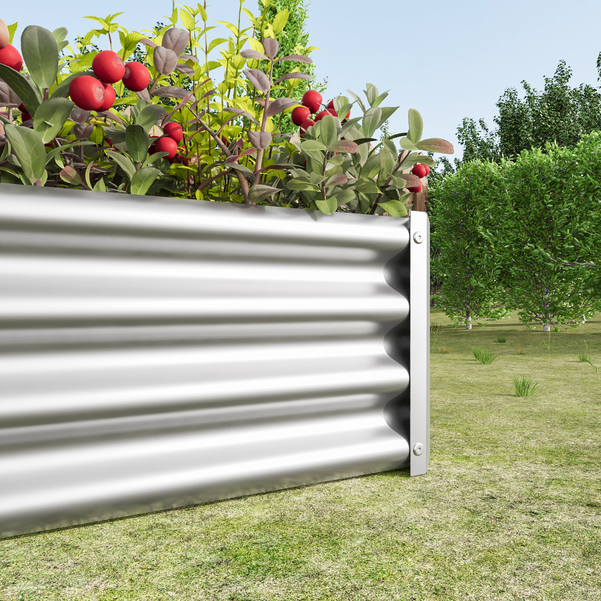 Corrugated galvanized steel raised garden bed with red berries and green foliage