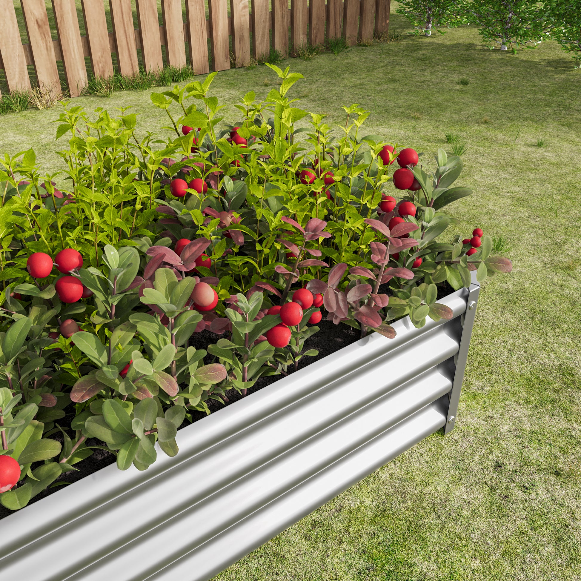 Galvanized steel raised garden bed with vibrant red berries and green foliage
