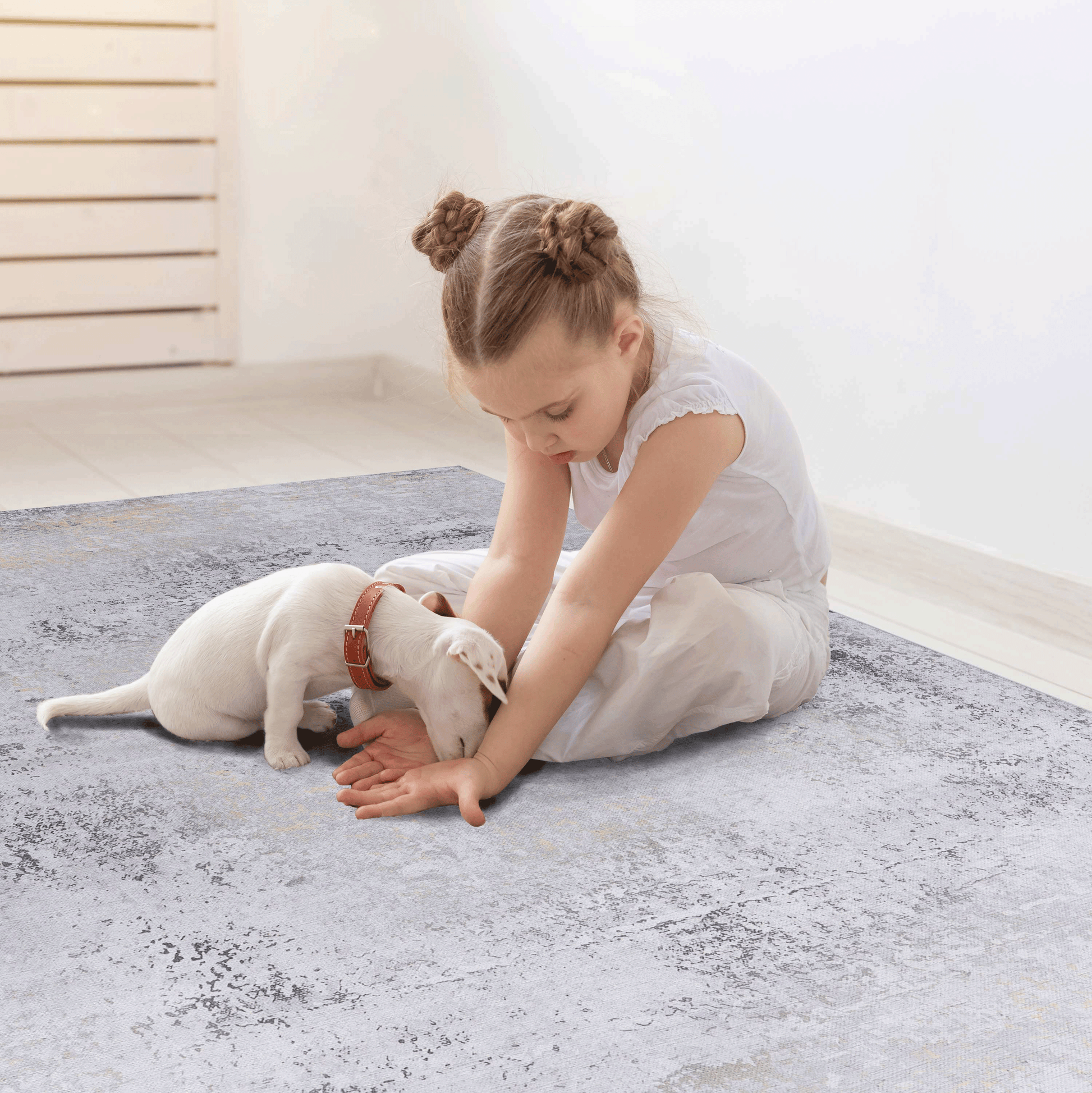 Distressed grey area rug with subtle gold accents for modern living spaces