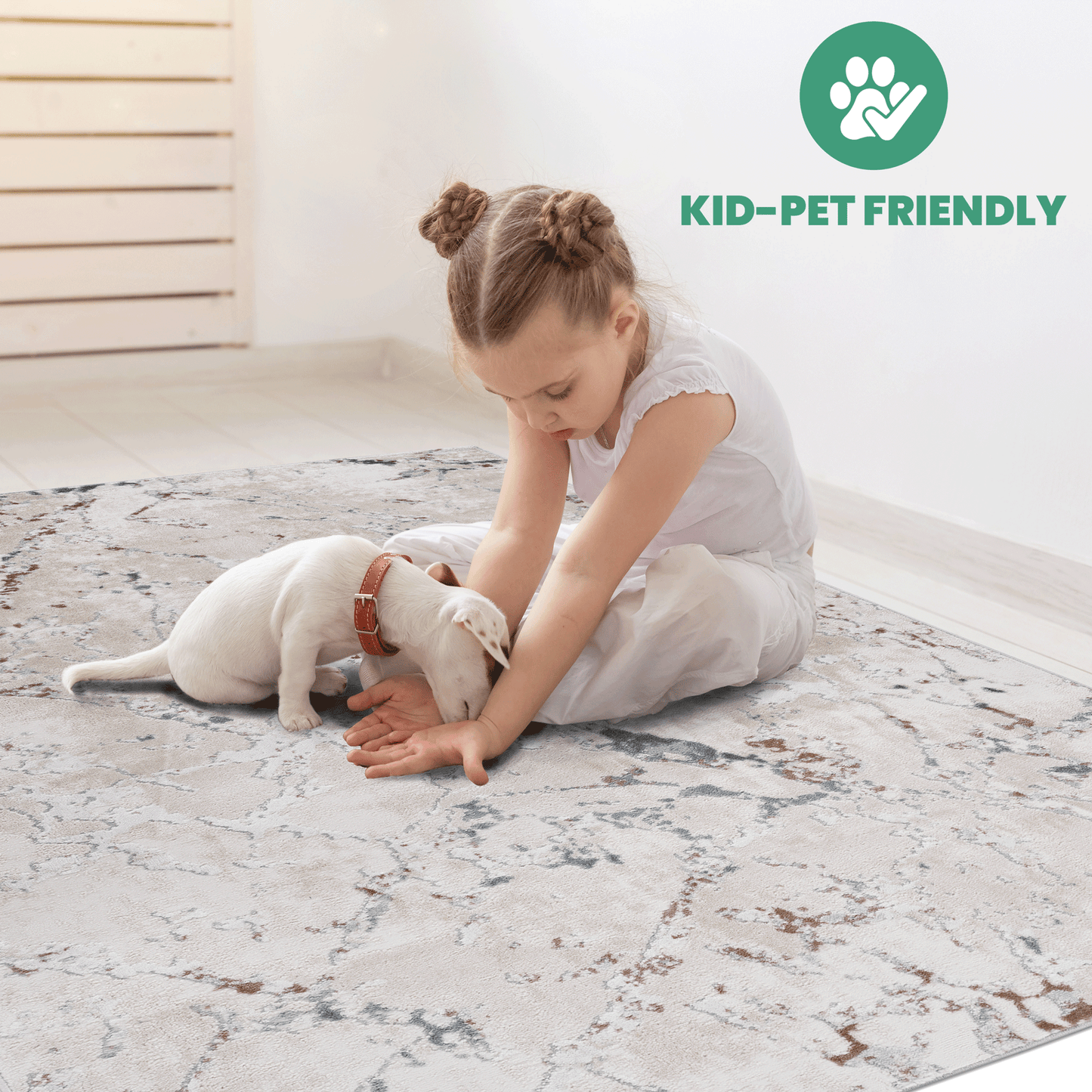 Abstract beige and grey area rug with a child and puppy