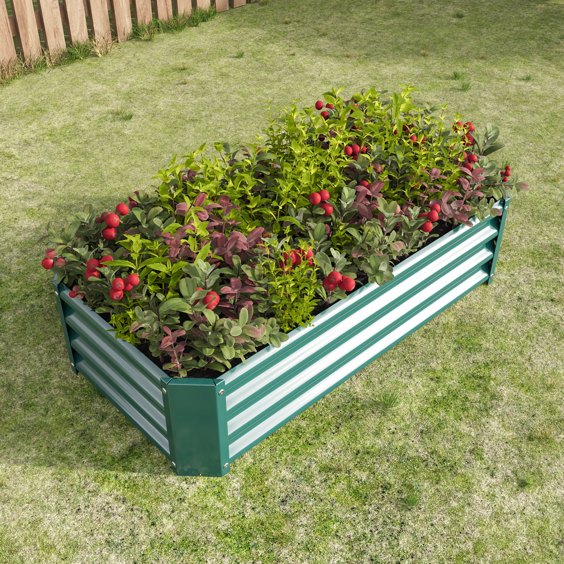 Green metal raised garden bed with lush plants and red berries x ft