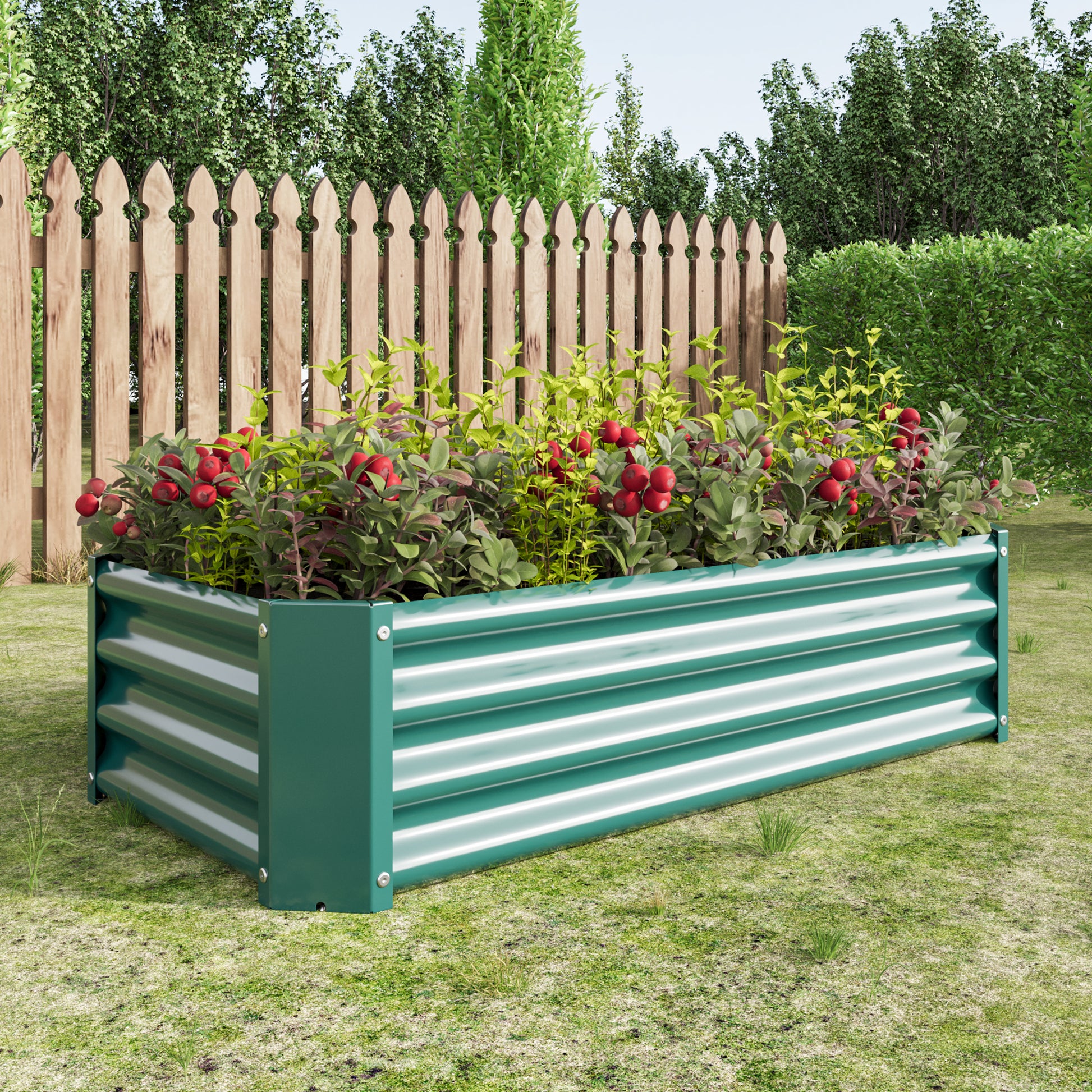 Green metal raised garden bed with mature plants featuring vibrant red berries