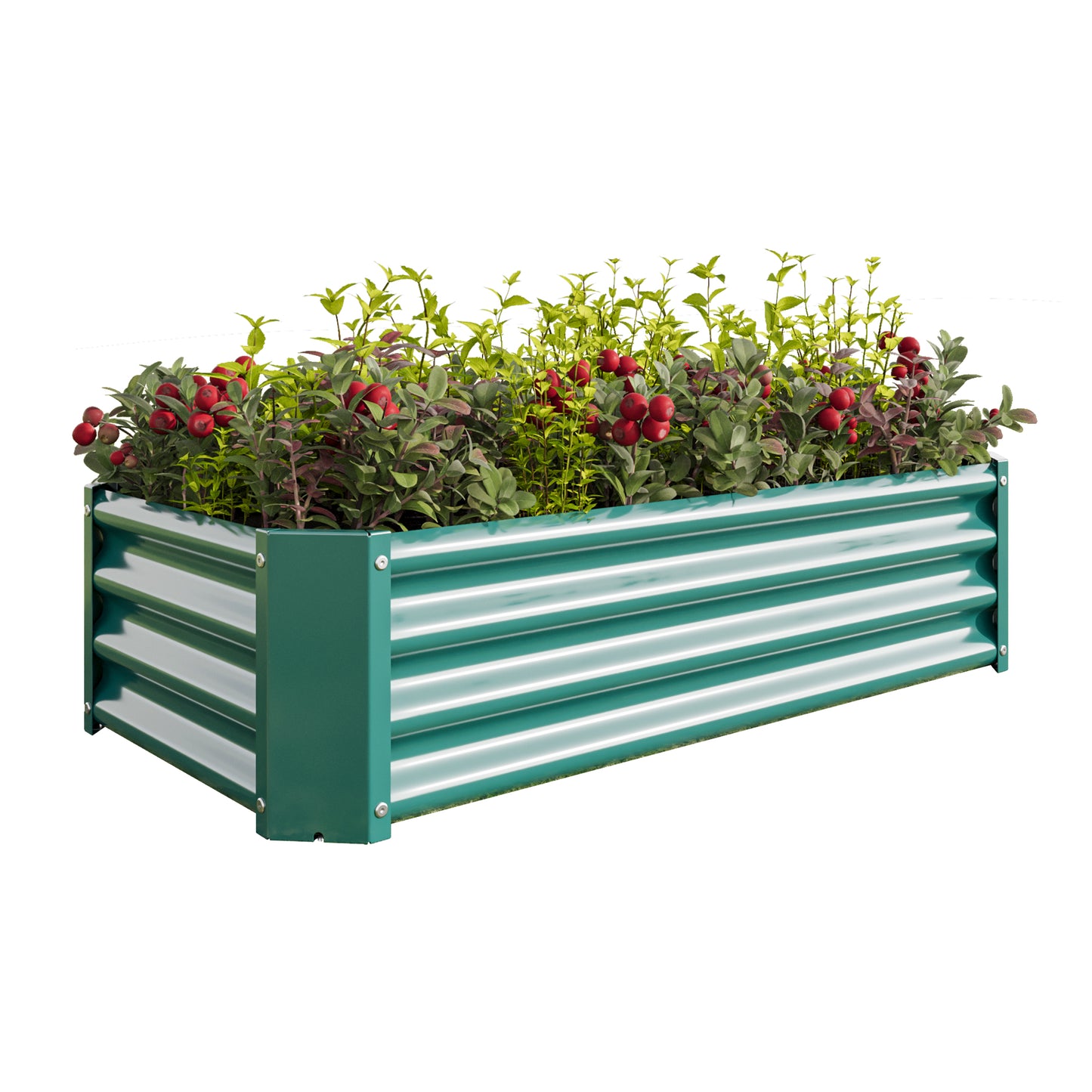 Green corrugated metal raised garden bed filled with plants and red berries
