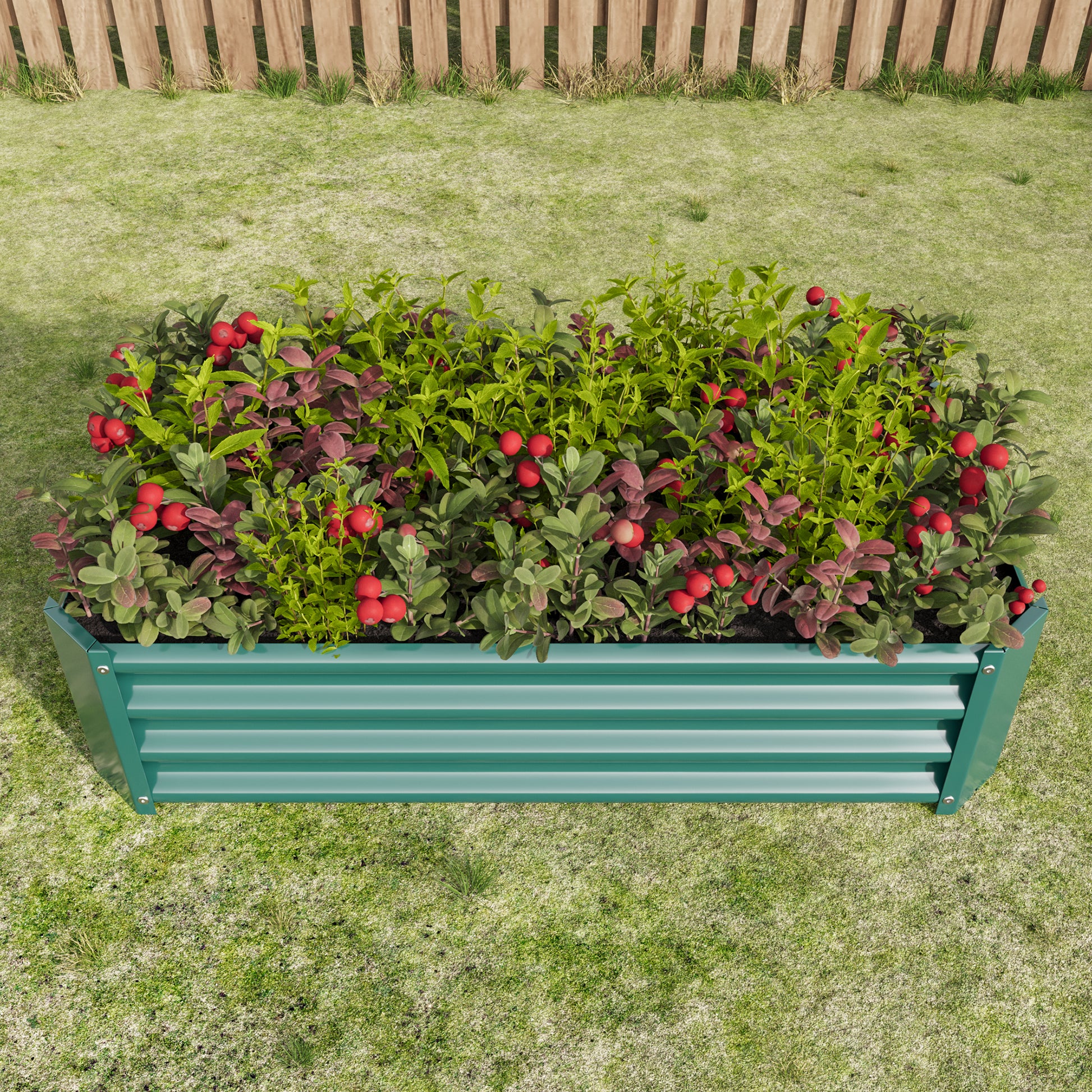 Green metal garden bed with overflowing cranberries and greenery in backyard