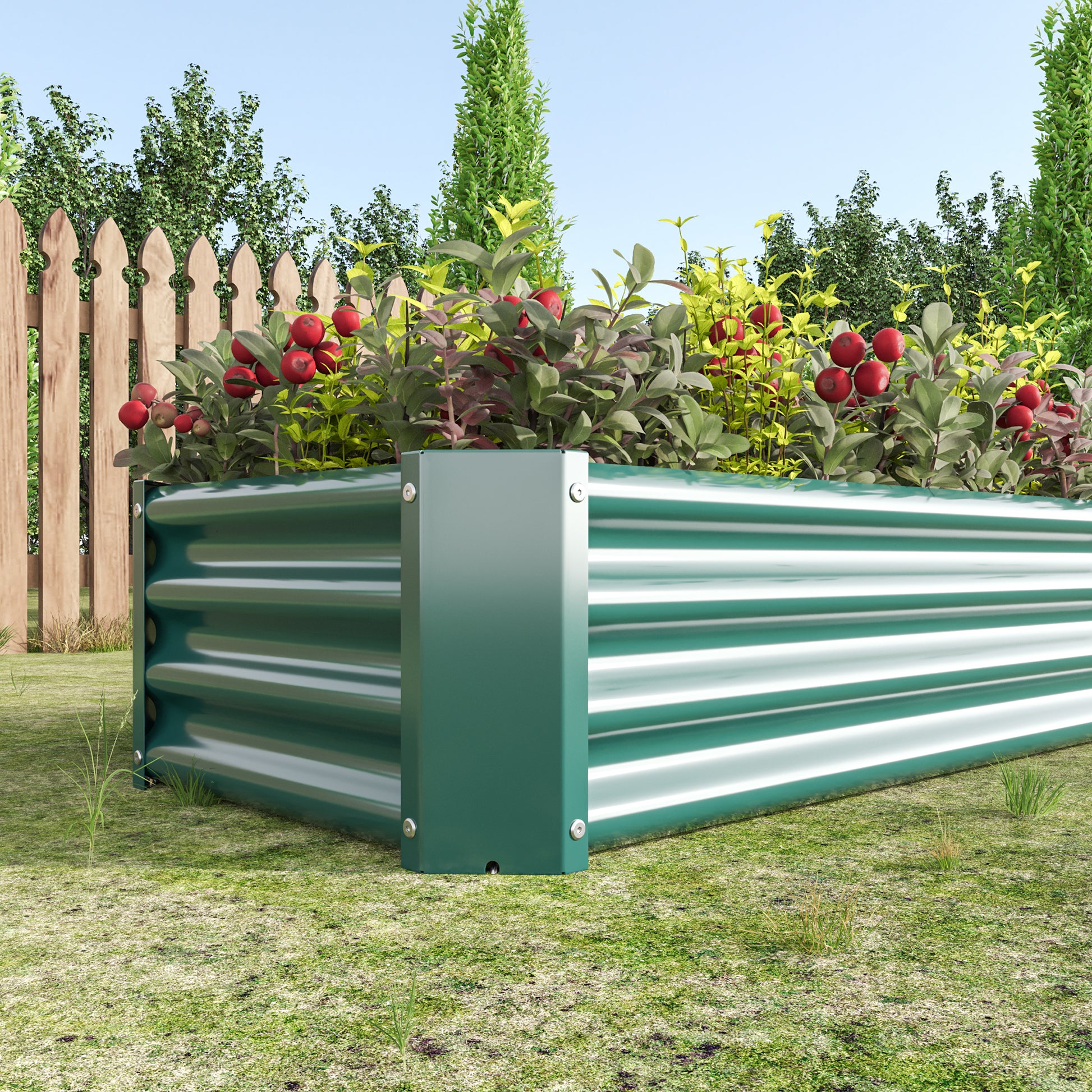 Green metal raised garden bed with corrugated sides filled with red berries and foliage