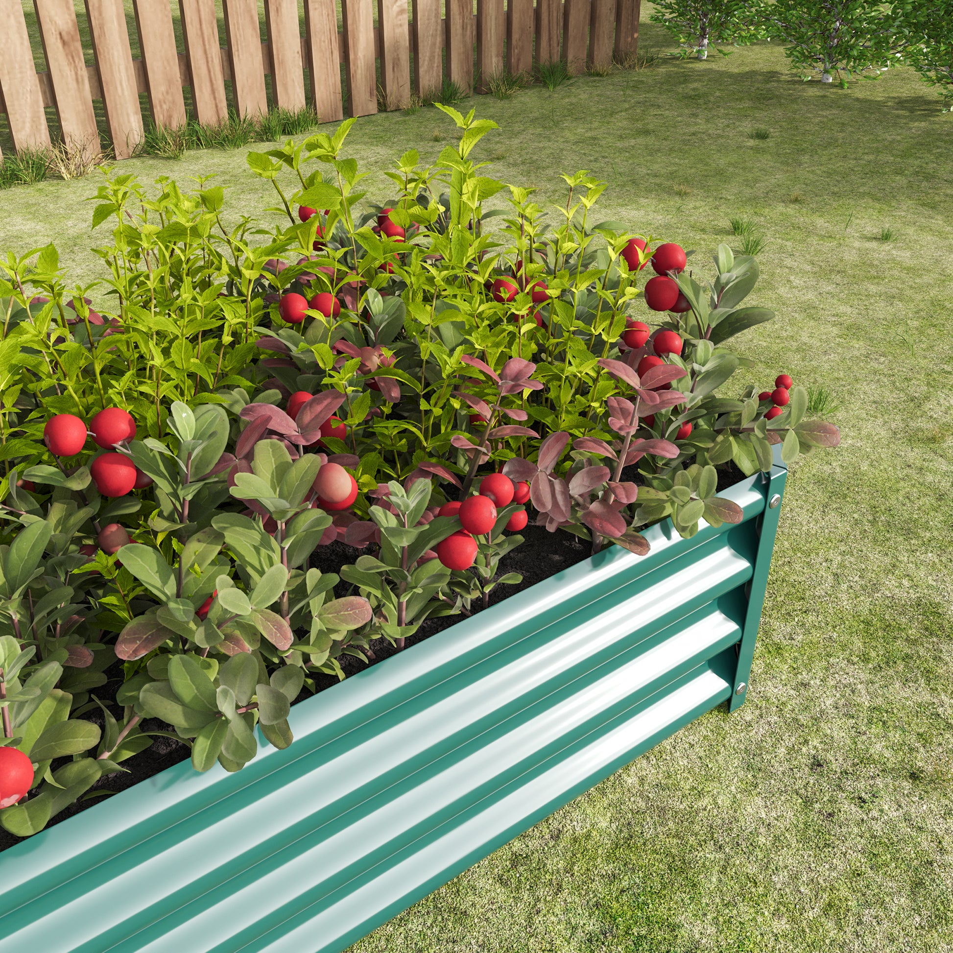 Sage green corrugated metal raised garden bed overflowing with lush green plants and bright red berries