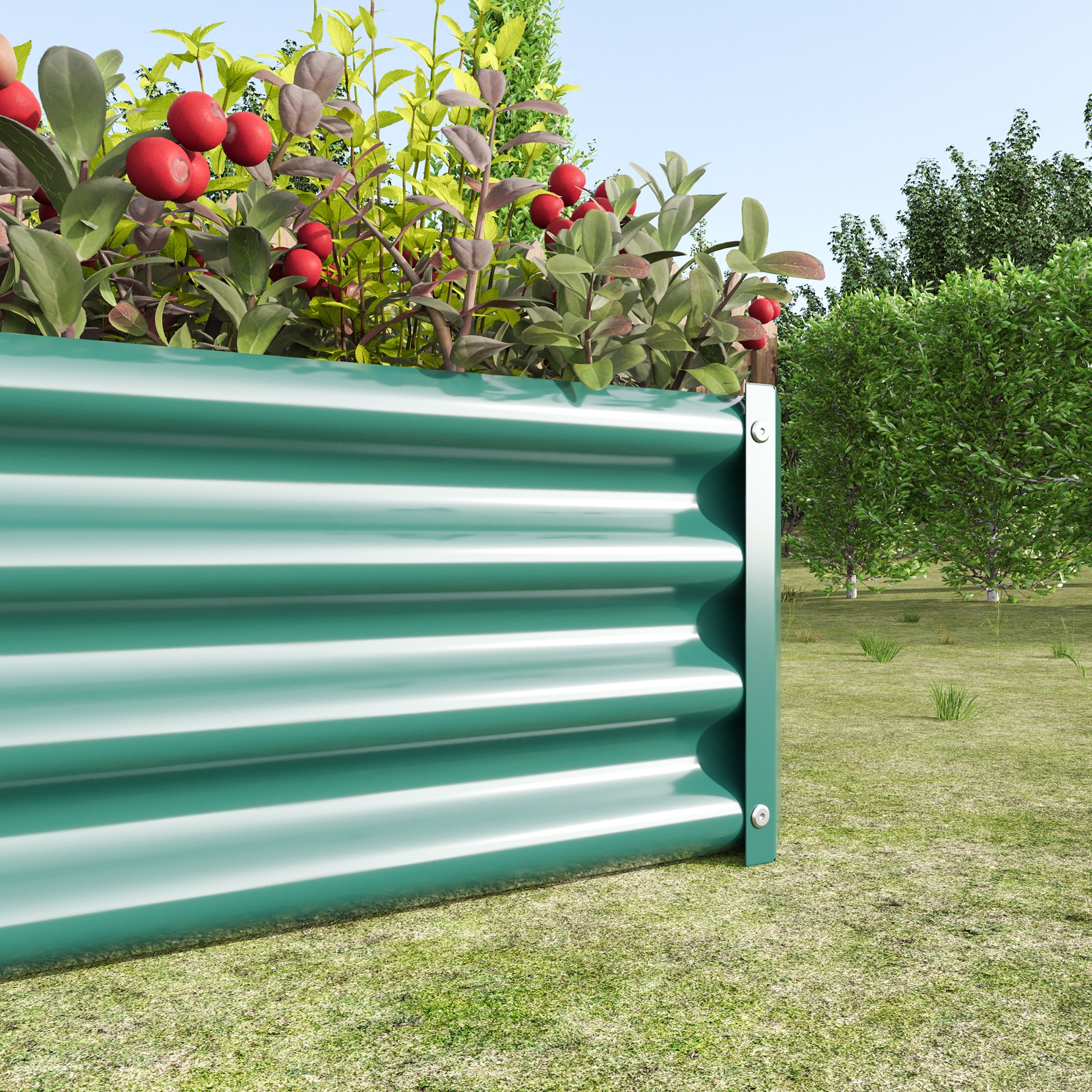Seafoam green corrugated metal raised garden bed with red berries and green foliage