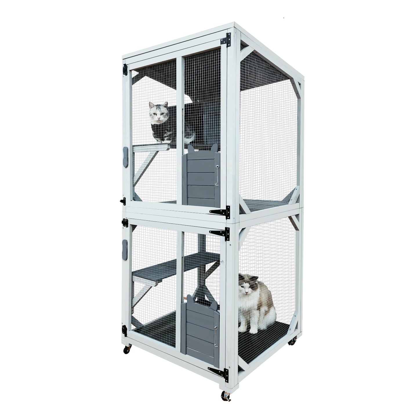 Twotier white wooden outdoor cat enclosure with multiple levels for cats