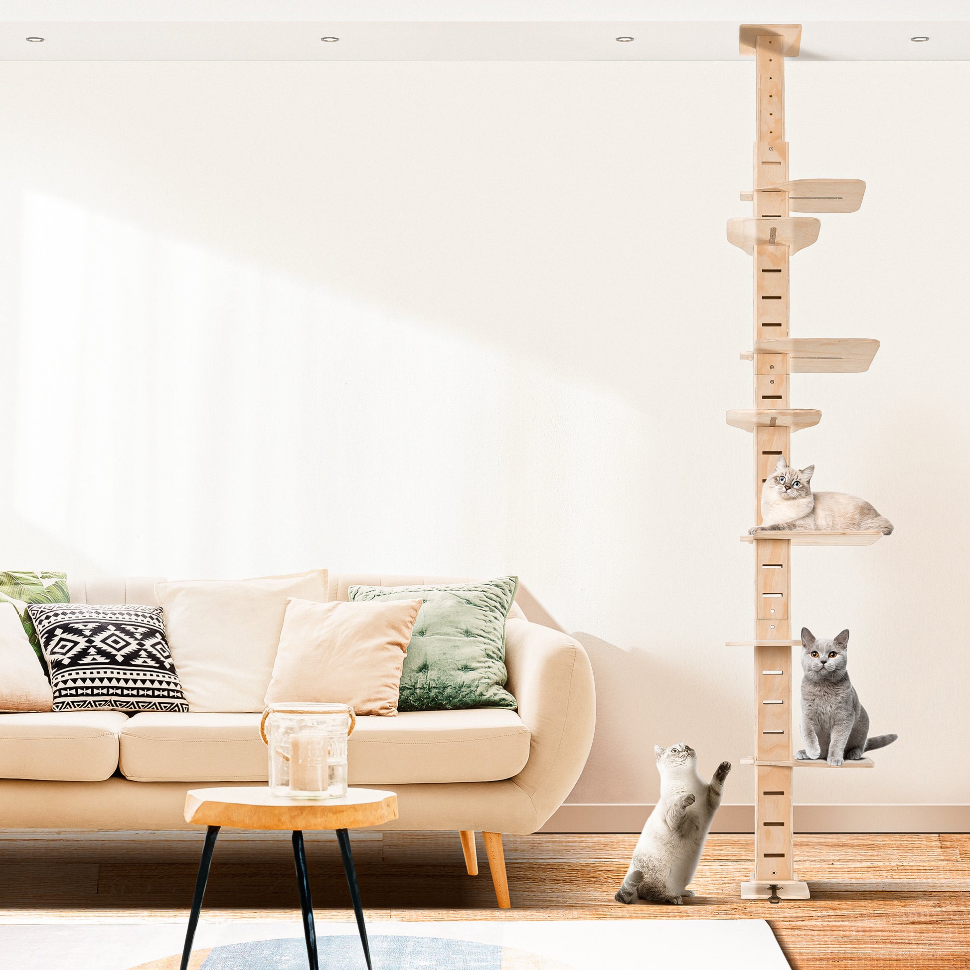 Adjustable natural wood cat tree with multiple platforms for climbing and resting