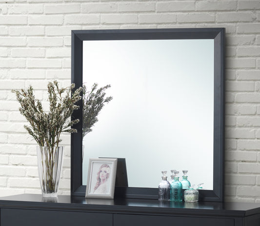 Dark gray framed wall mirror reflecting a bright room