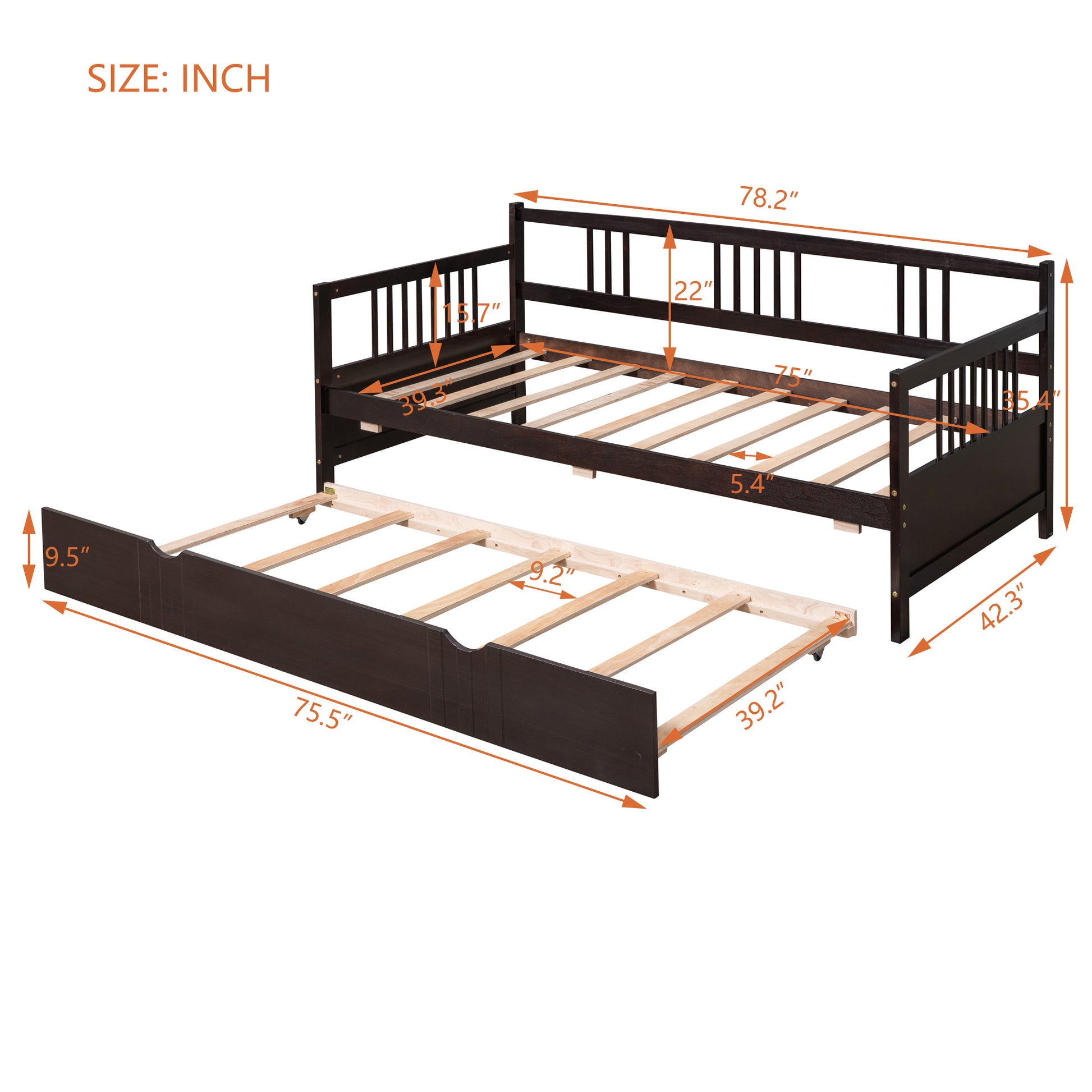Dark brown wooden daybed with pullout trundle showcasing dimensions for a twin bed