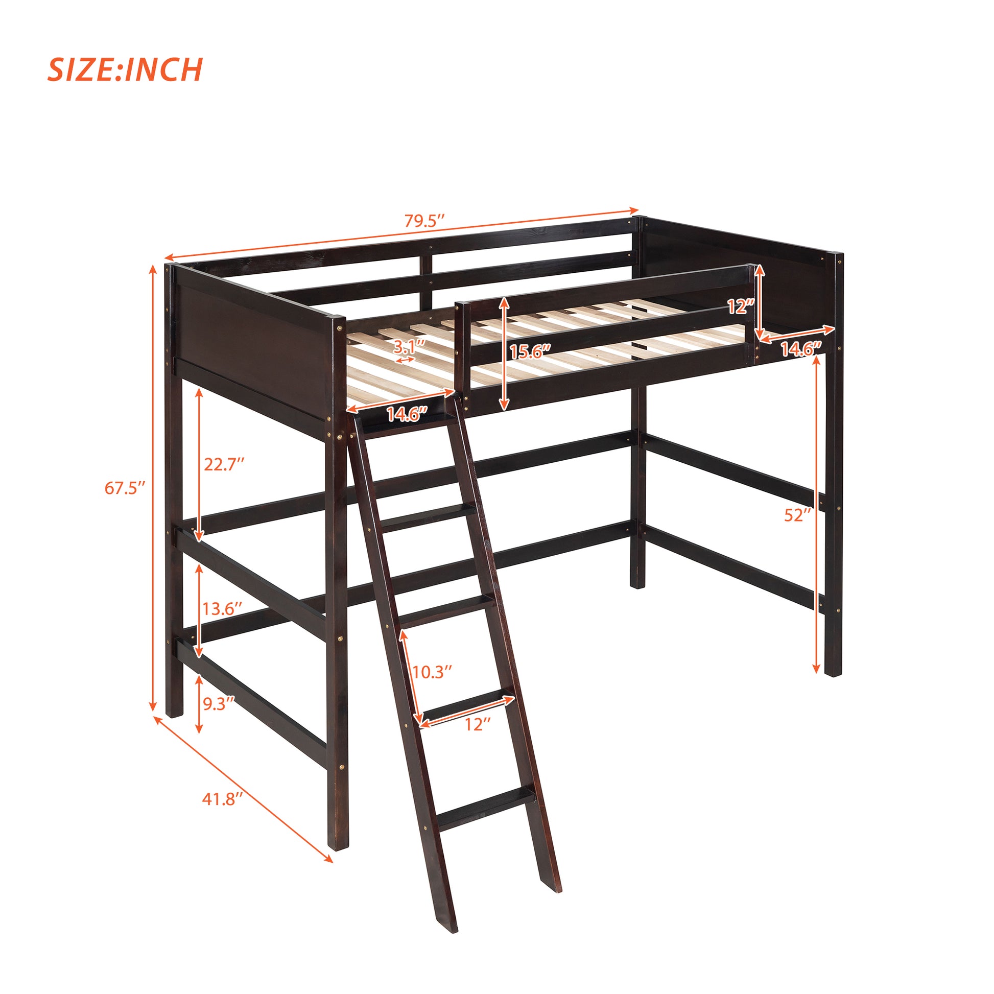Dark brown wooden twin loft bed with ladder and safety rails